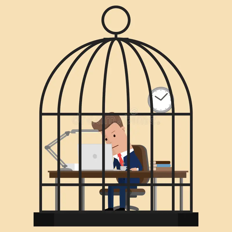 Man at work in bird cage