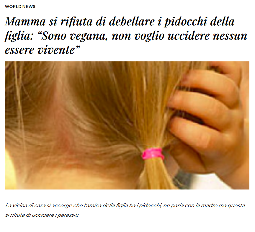 Article image about lice